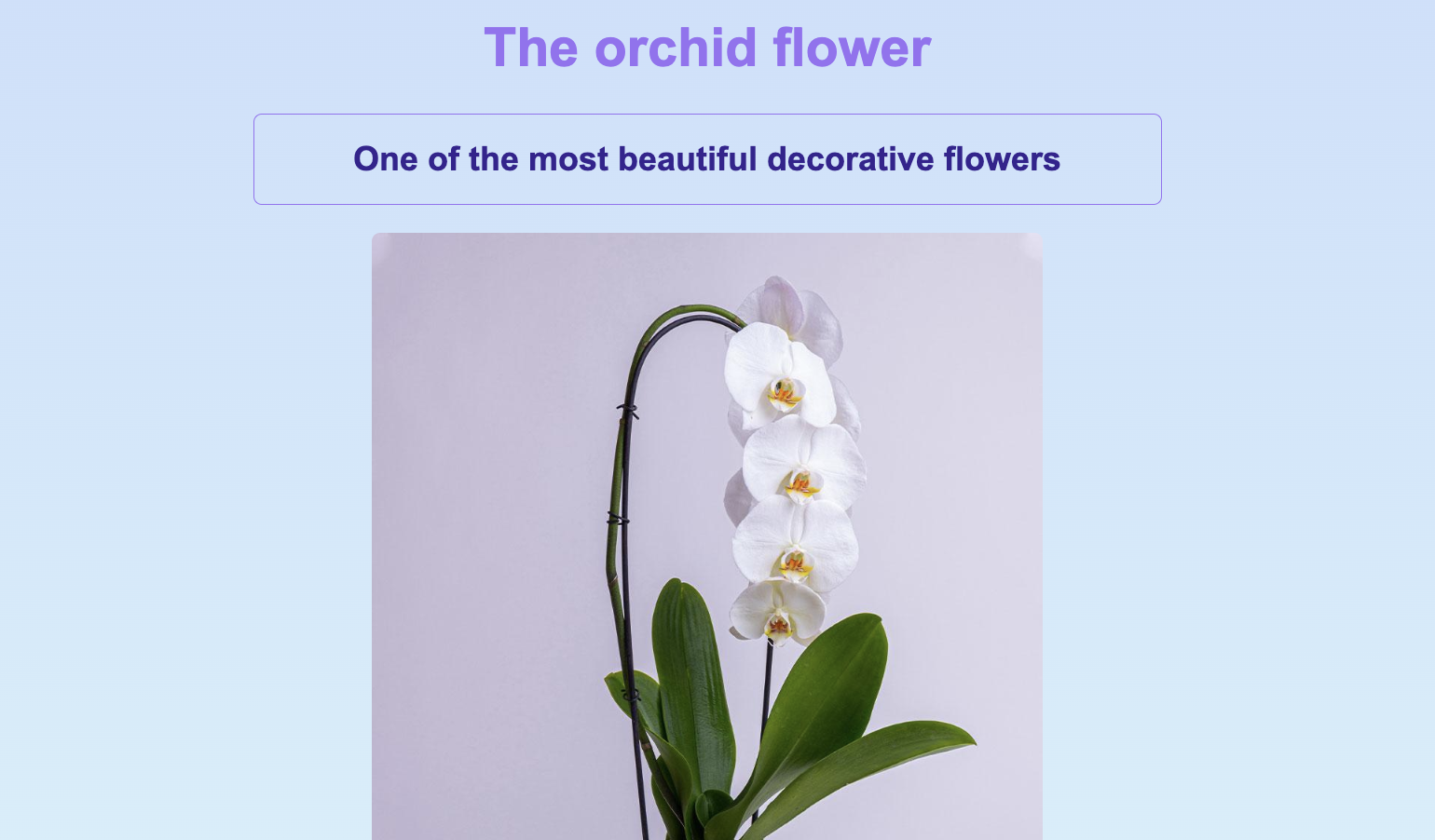 Orchid project preview